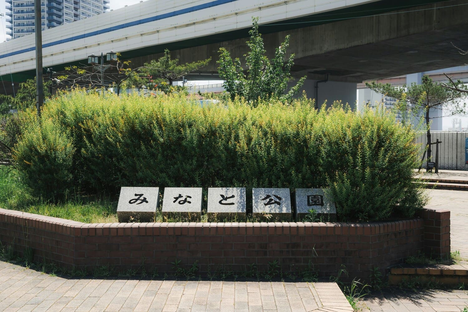 日本語学習プラン：ゼロから半年でN5合格を目指す